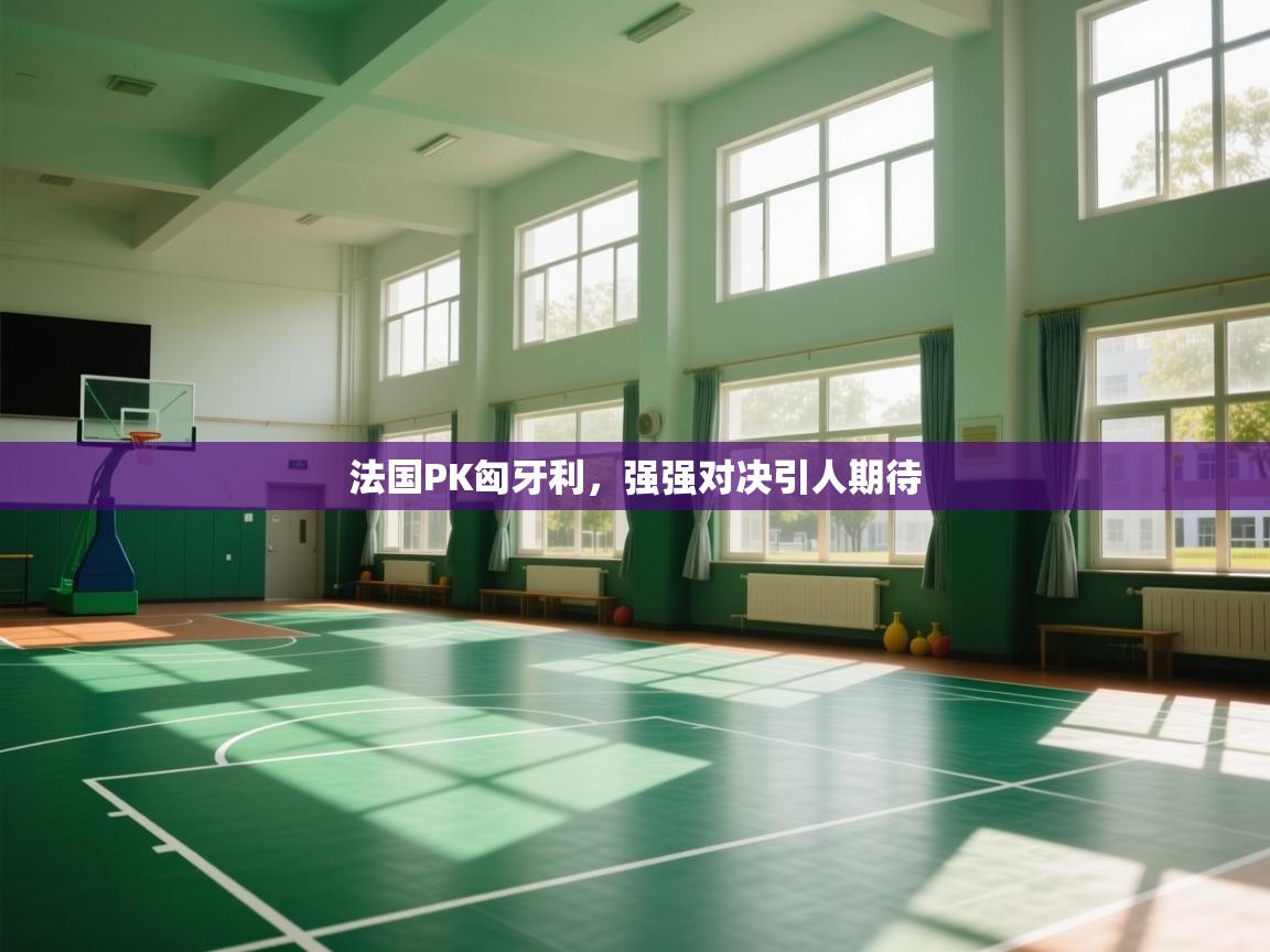 法国PK匈牙利,强强对决引人期待 第1张