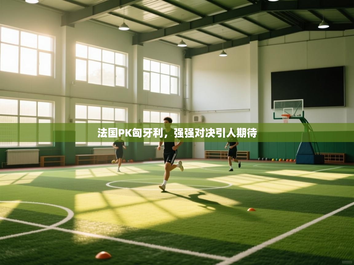 法国PK匈牙利,强强对决引人期待 第2张