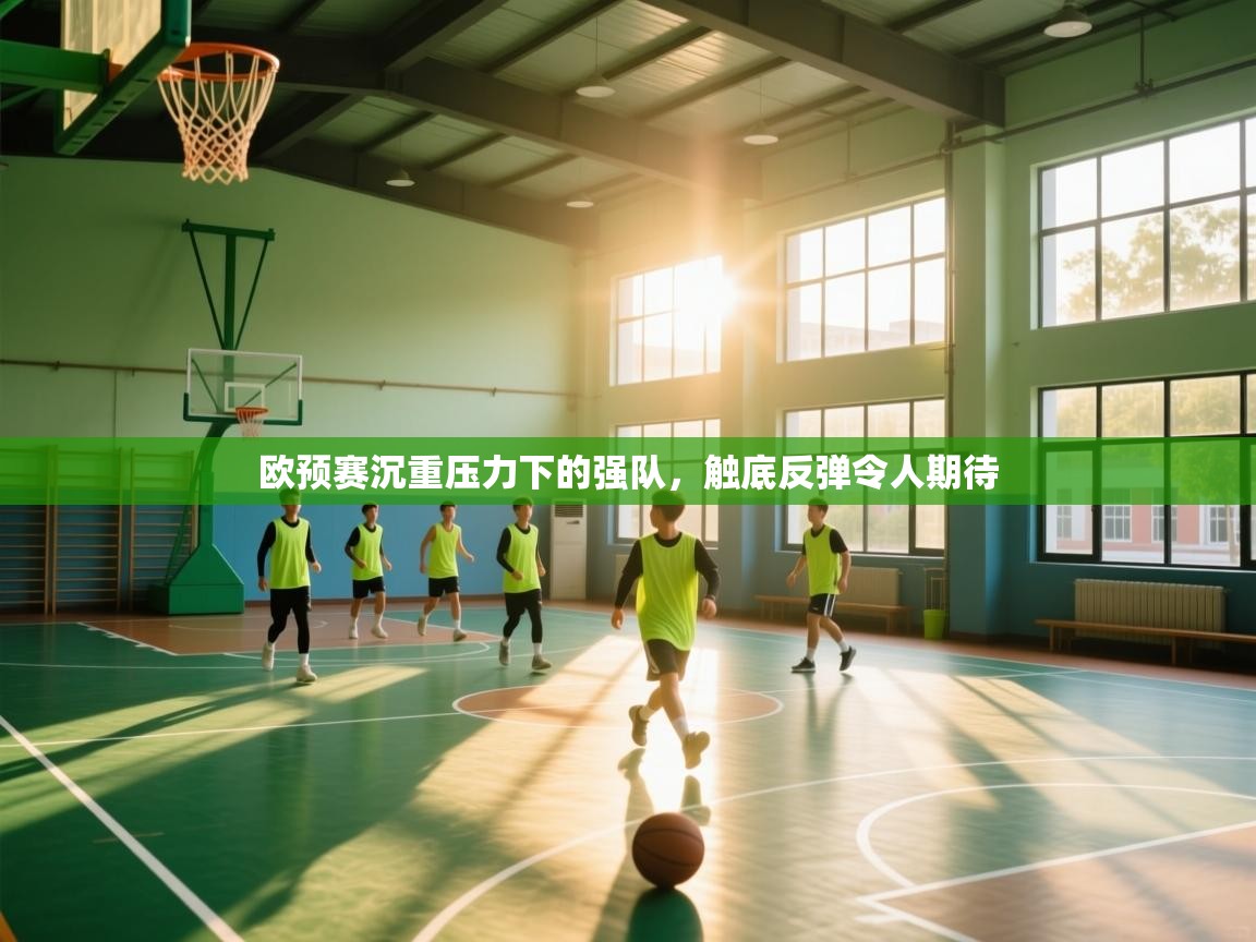 欧预赛沉重压力下的强队，触底反弹令人期待  第2张